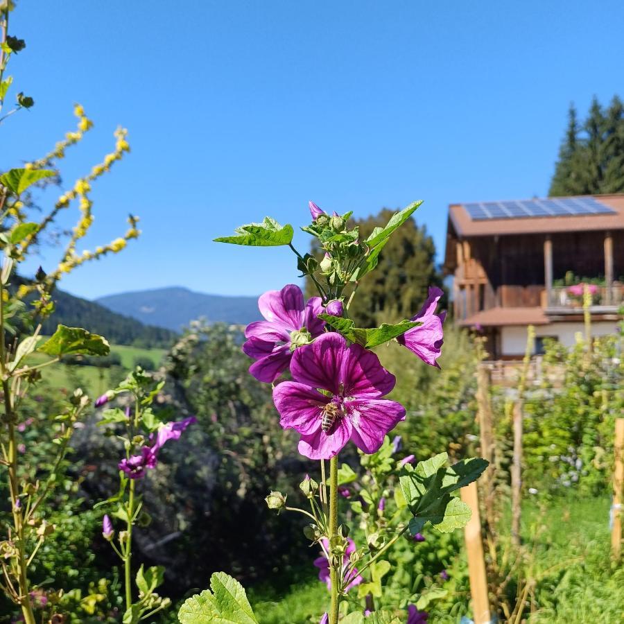 Tiny House Am Steinergut Hotel Radstadt Exterior photo