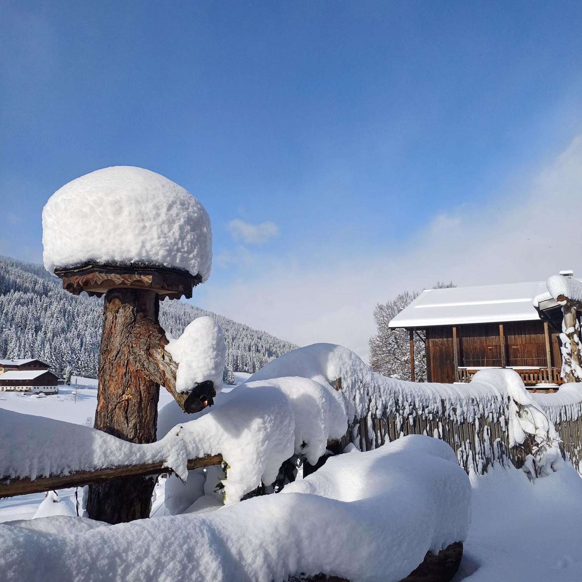 Tiny House Am Steinergut Hotel Radstadt Exterior photo