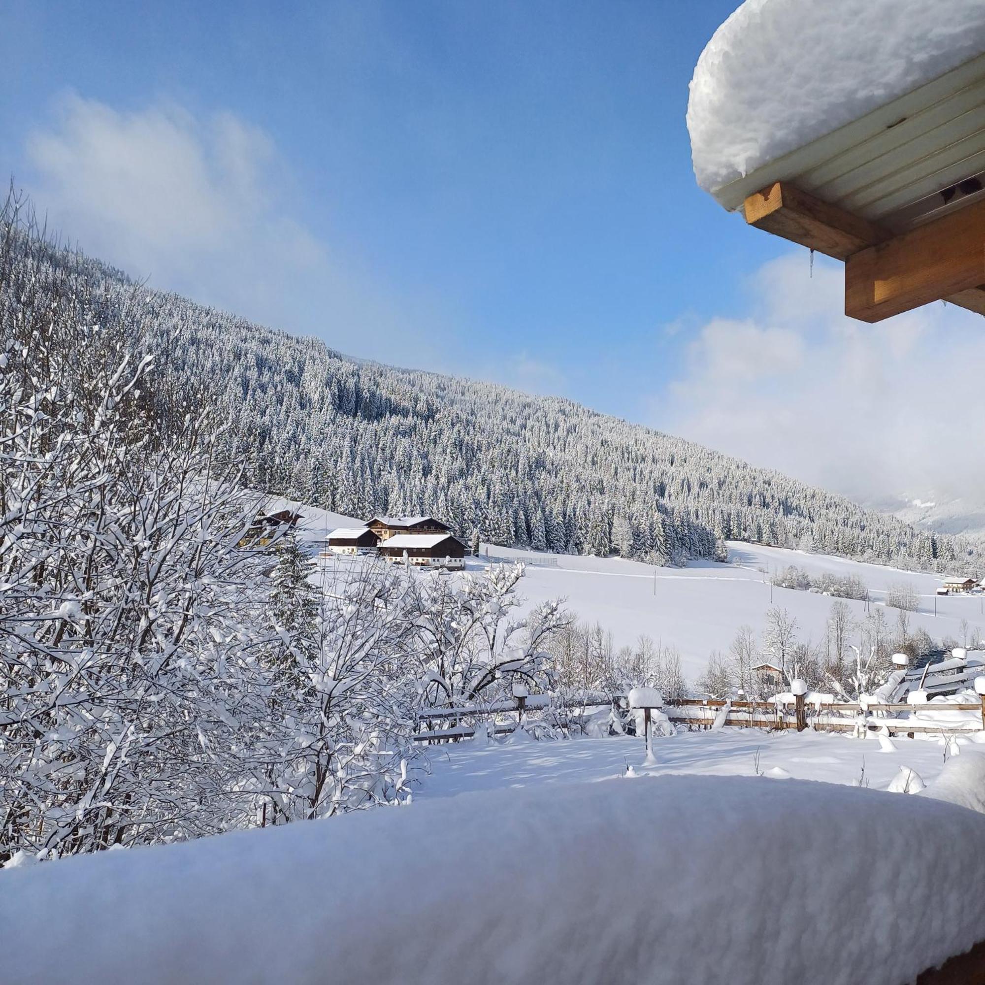 Tiny House Am Steinergut Hotel Radstadt Exterior photo